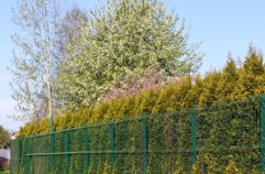 Brise vue artificiel : la solution idéale pour votre jardin